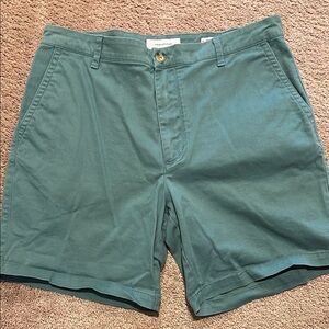 Urban Outfitters Green Flat Front Shorts